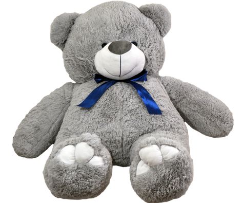 Teddy Bear Photo, Presentation Drawing, Teddy Bear Png, Bear Photo, Valentines Day Teddy Bear, Teddy Bear Images, Bear Png, Bear Images, Editing Photos