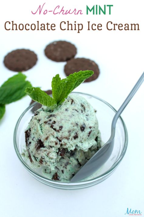 Homemade Mint Chocolate Chip Ice Cream, Mint Chocolate Chip Ice Cream Recipe, Chocolate Chip Ice Cream Recipe, Frozen Treats Recipes, Mint Chip Ice Cream, Nice Cream Recipe, Chocolate Mint Cookies, Ice Cream Maker Recipes, Ice Cream Dishes