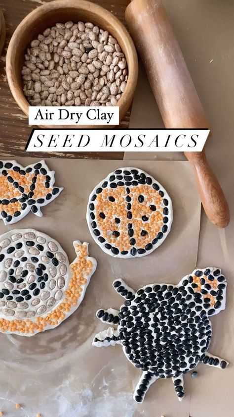 Air dry clay seed mosaics ✨ We needed a little something to spruce up the garden as it makes its transition into fall and these were just the thing ✨ For this you’ll need air dry clay, some old seeds and beans or remnants of whatever you have sitting around in your pantry (we used very old or expired dry goods). Roll out the clay with a rolling pin and cut out a circle with a biscuit cutter or cookie cutter. You’ll want it rather thick so it doesn’t break easily. Push beans and seeds down into Clay Preschool Activities, Air Dry Clay Ideas Useful, Seed Mosaic For Kids, Bean Mosaic Art For Kids, Air Dry Clay Toddler Craft, Kids Air Dry Clay Projects, Air Dry Clay Crafts For Kids, Air Dry Clay Mosaic, Fall Air Dry Clay Projects