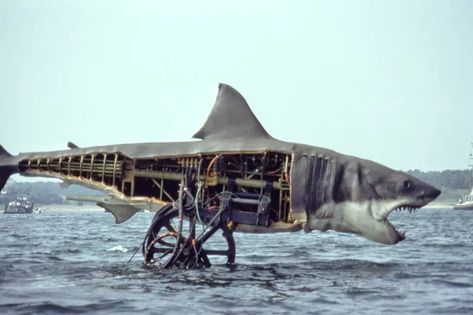 Film History: A Real Shark Fell in Love With The Mechanical Shark While Filming Jaws - Funny Or Die Happy 40th Anniversary, Mike Nichols, Jaws Movie, Jeff Bridges, Historical Moments, Julie Andrews, Film History, Shark Week, Steven Spielberg