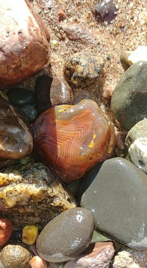 Agate in its natural habitat from Iowa Crystal Hunting At The Beach, Agate Hunting, Lake Superior Agates, Rock Hunting, Geology Rocks, Pretty Rocks, Cool Rocks, Meditation Crystals, Calcite Crystal