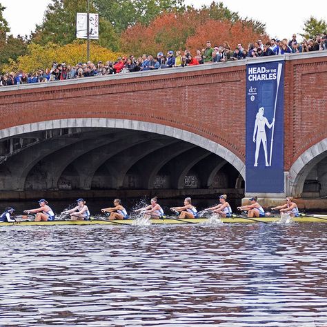 Head Of The Charles Regatta, Rowing Aesthetic, Men's Rowing, Row The Boat, The Ivy League, Rowing Crew, Crew Team, Rowing Club, Row Row Your Boat