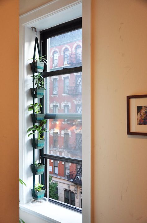 Hanging Herb Garden, Balkon Decor, Diy Hanging Planter, Vertical Garden Indoor, Hanging Herbs, Window Plants, Garden Indoor, Indoor Herb Garden, Indoor Gardens