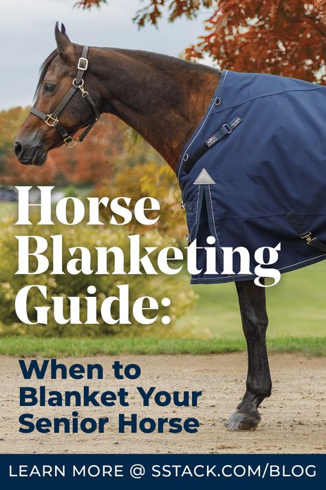 Senior horses need more TLC in the winter than your average horse. Because they can’t handle the cold, blanketing is essential to ensure they stay warm and healthy during the colder months. In this blog, we will go over why senior horses have different blanketing needs, how to choose the right blanket, signs your senior horse needs a blanket, and common mistakes to avoid when blanketing your senior horse. Senior Horse Care, Dressage Exercises, Healthy Horses, Miniature Horses, Horse Tail, Weight Changes, Body Condition, Miniature Horse, Horse Blankets