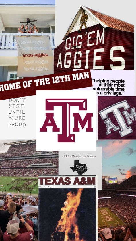 A&m College Station, Dorm Canvas Art, Aggie Football, Gig Em Aggies, Texas Baby, Dream Collage, Vet Medicine, Texas Aggies, College Aesthetic