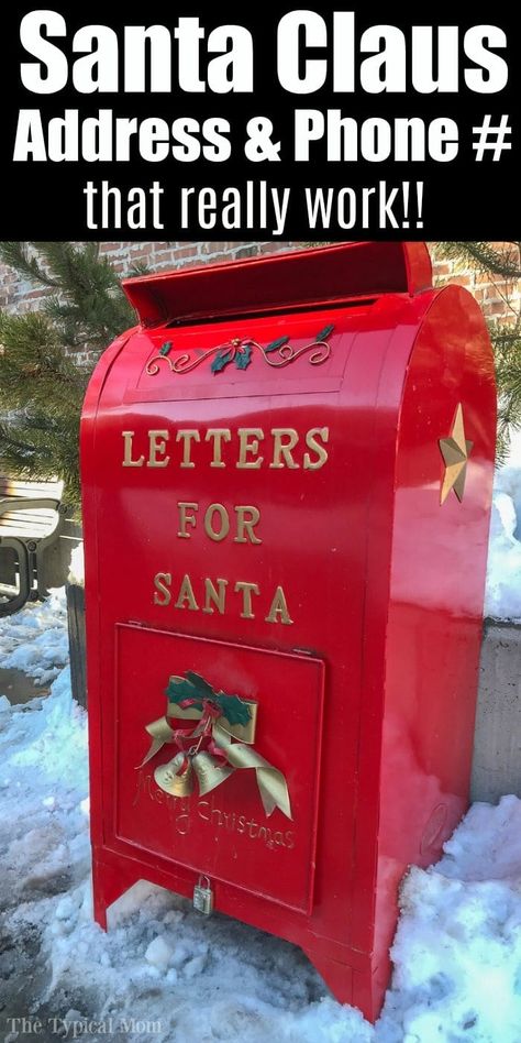 This is how to send a letter to Santa and actually get a response from the North Pole plus I have Santa Claus real phone number so you can hear his voice! #santa #address #phonenumber #real Santa Traditions, December Checklist, Santa Address, A Letter To Santa, Santa Letters, Christmas Activities For Families, Letters To Santa, Christmas Recipes Easy, Christmas December