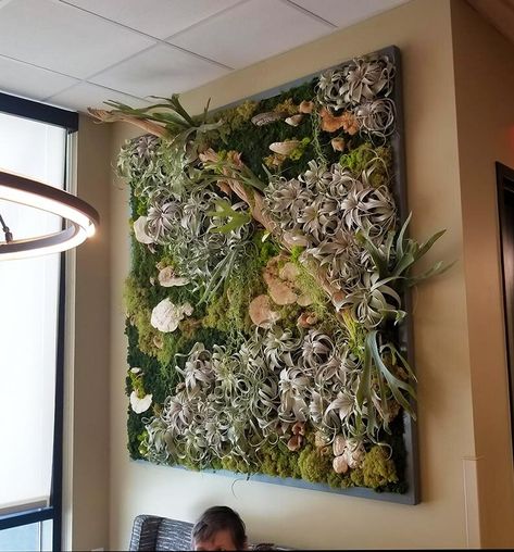 Living Walls, Vertical Gardens, Plant Walls, Moss Walls — Articulture Designs Air Plants Wall, Fence Vertical, Cactus Corner, Plants Wall Decor, Air Plant Wall, Air Plant Garden, Gardens Vegetable, Vertical Garden Plants, Plant Walls