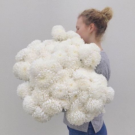 White Mums Flowers, Disbuds Flower, White Mums Wedding, White Chrysanthemum Bouquet, White Chrysanthemum Flower, Secret Supper, Chrysanthemum Wedding, Mum Flowers, Chrysanthemum Bouquet