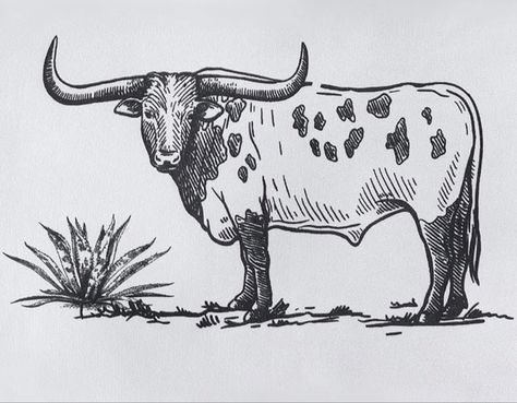 Western Skull Drawing, Ox Sketch Drawings, Longhorn Doodle, Long Horn Drawing Simple, Easy Western Drawings For Beginners, Western Outline Tattoo, Longhorn Sketch, Country Easy Drawings, Simple Country Drawings