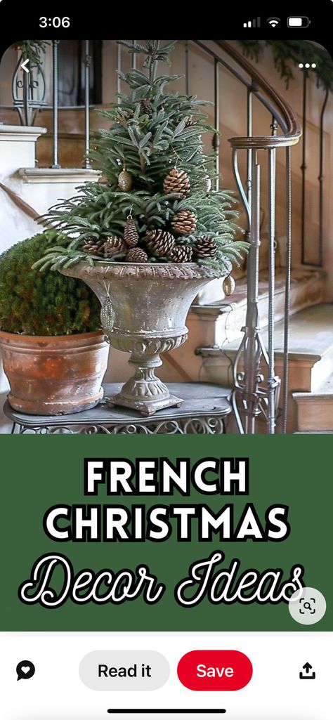 Decorating Dining Room Chairs For Christmas, French Horn Decor, Decorating With Cedar Branches, Decorated Christmas Wreaths, Chair Decorations Christmas, Decorating Christmas Table Ideas, French Cottage Christmas Decor, Holiday Decorations Ideas, Mantles For Christmas Decorating