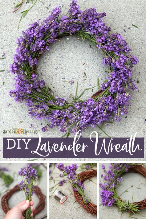 DIY lavender wreath Lavender Projects, Lavender Things, Harvest Lavender, Lavender Wreaths, Lavender Diy, Outdoor Friends, Lavender Uses, Dekoratívne Vence, Twig Crafts