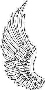 angel wing,glowing,cartoon,fantasy,wings,white,line sketch Line Drawing Easy, Wing Clipart, Wing Png, Fantasy Wings, Angel Wings Png, Wings Png, Sketch Free, Line Sketch, Black And White Sketches