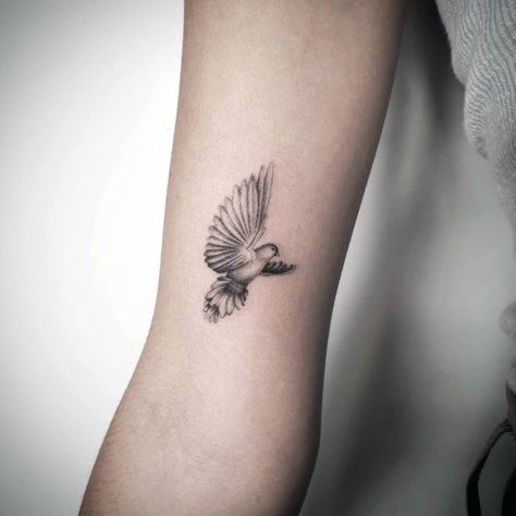 Dove Tattoo Feminine, Small Dove Tattoos, Dove Tattoos, Dove Tattoo, Tattoos For Girls, Neck Tattoo, Tattoos And Piercings, Girl Tattoos, Tattoos For Women