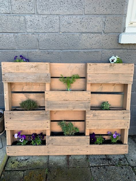 DIY Vertical Pallet Planter Wood Pallet Planters, Wall Plant Holder, Pallet Planter, Pallet Wall, Outdoor Comfort, Pallets Garden, Plant Wall, Plant Holders, House Front