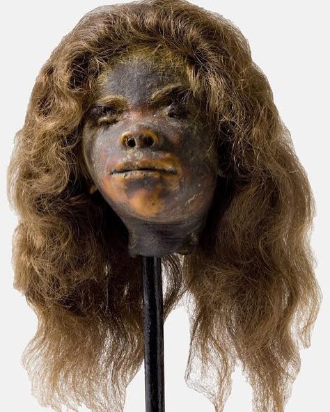 human shrunken heads of a young girl from south america Shrunken Heads, Shrunken Head, Out Of The Dark, July 7, Halloween Props, South America, Facial, Human, Halloween