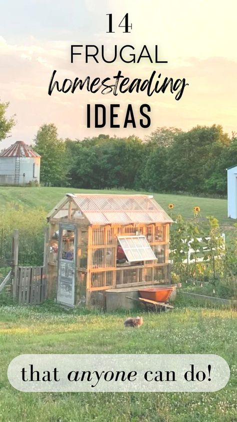 14 frugal homesteading ideas that anyone can do pin image How To Create A Homestead, 2acre Homestead, Homestead Lunch Ideas, Homestead Layout 2 Acres, Small Backyard Homestead Layout, Easy Homestead Projects, Mini Homestead Ideas, Homesteading Small Space, Small Homestead Garden Layout