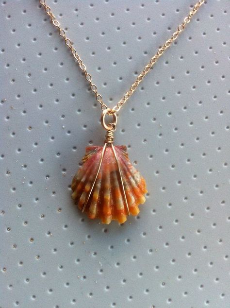 Necklace Guide, Sunrise Shell, Art Coquillage, Shells Diy, Shell Crafts Diy, Seashell Jewelry, Seashell Crafts, Handmade Wire Jewelry, Shell Necklace