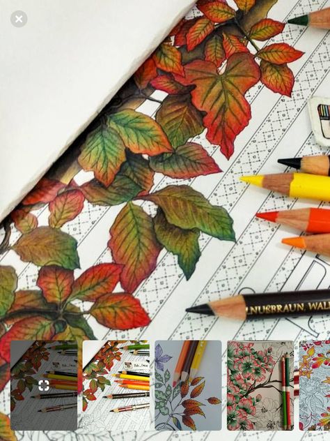 Fall Leaves Colored Pencil, How To Color Fall Leaves With Colored Pencils, Colouring Leaves With Pencils, Coloring Leaves With Colored Pencils, Coloring Leaves, Colored Pencil Art Projects, Secret Garden Coloring, Joanna Basford Coloring, Blending Colored Pencils