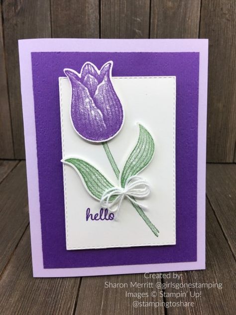 Basic Borders Dies, Tulip Cards, Tulip Card, Tulips Card, Hello Cards, Stampin Up Catalog, Designer Paper, Spring Cards, Product List