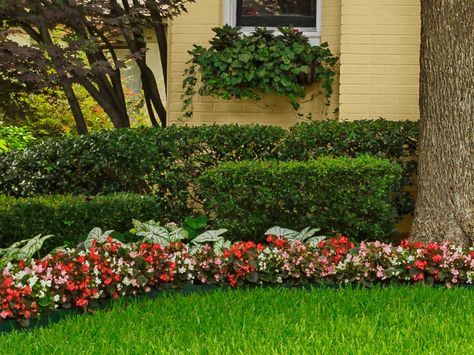 Curb Appeal Ideas From Dallas, Tx. | HGTV White Begonias, Eugenia Topiary, Curb Appeal Ideas, Colorful Flower Beds, Front Lawn Landscaping, Beginners Landscaping, Hardscape Design, Hgtv Magazine, Flower Garden Design