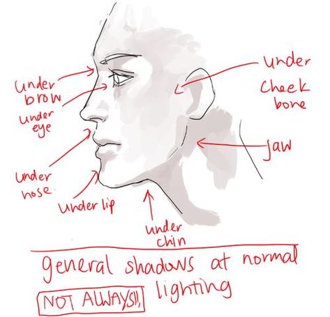 Side view head reference | Drawing & Illustration Tips and ... Side View Of Face, Profile Drawing, Face Profile, Face Reference, Anatomy Reference, Side Profile, Digital Art Tutorial, Drawing Tips, A Drawing