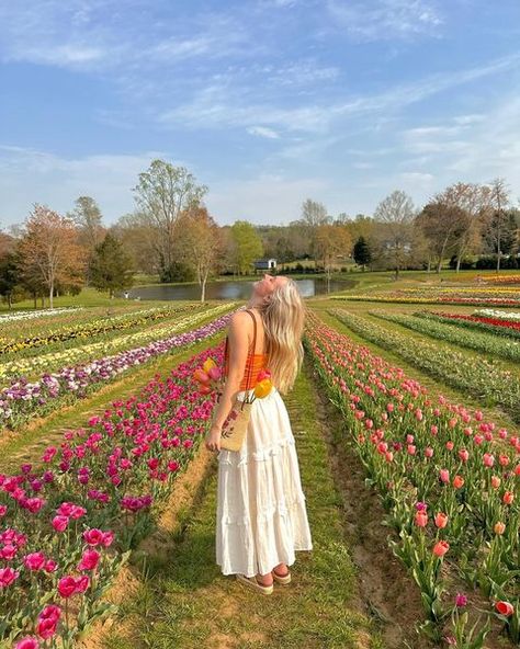 Fashion • Instagram Tulip Field Outfit, Field Outfit, Tulip Farm, Italian Summer Outfits, Tulip Field, Summer Outfits 2024, Farm Clothes, Flower Photoshoot, Flower Picks