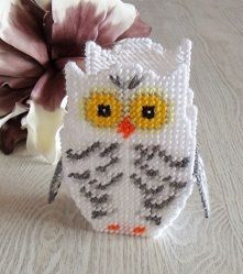 plastic stramien uiltje borduren Owl Basket, Plastic Canvas Box Patterns, Crochet Applique Patterns Free, Picture Frame Ornaments, Plastic Canvas Coasters, Plastic Canvas Stitches, Filet Crochet Charts, Plastic Canvas Tissue Boxes, Plastic Canvas Christmas