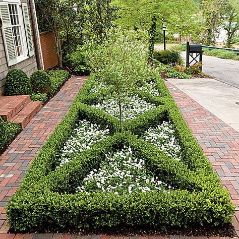 Front Yard Boxwood Parterre Boxwood Landscaping, Green Bushes, Colonial Garden, Parterre Garden, Boxwood Garden, Southern Garden, Potager Garden, Formal Garden, Garden Shrubs