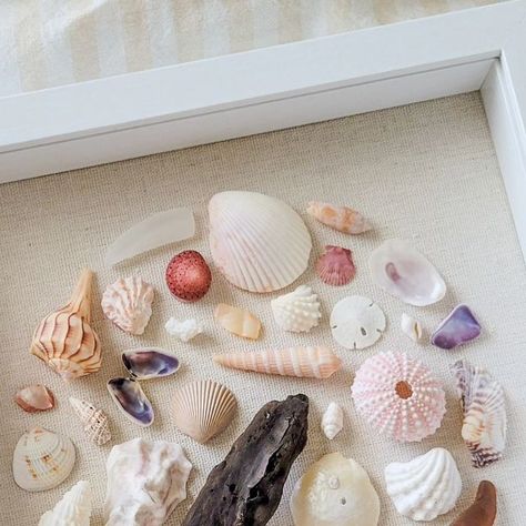 Sand Dune Memories on Instagram: "Which do you prefer? Pastel pinks or creamy neutrals? I personally love little pops of color!  These two 9x9 shadow box displays are the last of the original displays created. Now listed at $85 each and looking for their forever homes 🩷🤍 • • • #seashells #coastalliving #homedecor #seaglass #seapottery #seaglassart #seashellart #art #displaybox #beach #beachlife #mermaid #shelling #beachcombing #driftwood #boho #mermaidjewelry #oceandecor #finejewelry #highquality #freshwaterpearls #pearl #pearljewelry #pearlnecklace #pearlearrings #beachvibes #oceanlife #sealife #weddingjewellery #pearlwedding" Shell Yeah, Mermaid Jewelry, Sea Pottery, Ocean Decor, Seashell Art, Beach Combing, Sea Glass Art, Pearl Wedding, Display Boxes