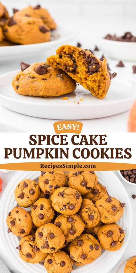 These delicious Spice Cake Pumpkin Cookies with chocolate chips combine all the best fall flavors in a simple treat that's easy to make. Enjoy this easy holiday cookie recipe. Chocolate Chip Pumpkin Spice Cake Cookies, Pumpkin Spice Cake Box Cookies, Spice Pumpkin Cookies, Pumpkin Spice White Chocolate Chip Cookies, Pumpkin Cookies With Chocolate Chips, Pumpkin Spice Cake Mix Cookies, Spice Cake Mix And Pumpkin Cookies, Spice Cake Pumpkin Cookies, Spice Cake Cookies 3 Ingredients