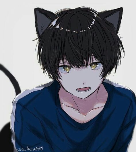 Cat Boy, Anime Cat, An Anime, Cat Ears, Anime Character, Black Hair, Hair, Anime, Black