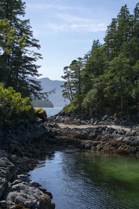 Stunning View From My Kayaking Trip Last Week on Vancouver Island BC Canada. [OC] (4000x6000)  Click the link for this photo in Original Resolution.  If you have Twitter follow twitter.com/lifeporn5 for more cool photos.  Thank you author: https://bit.ly/2NXgEzD  Broadcasted to you on Pinterest by pinterest.com/sasha_limm  Have The Nice Life! Vancouver Island Photography, Vancouver Nature, Pnw Vibes, Pnw Aesthetic, Vancouver Island Canada, Nice Life, Foggy Weather, Landscape Rock, Background Nature