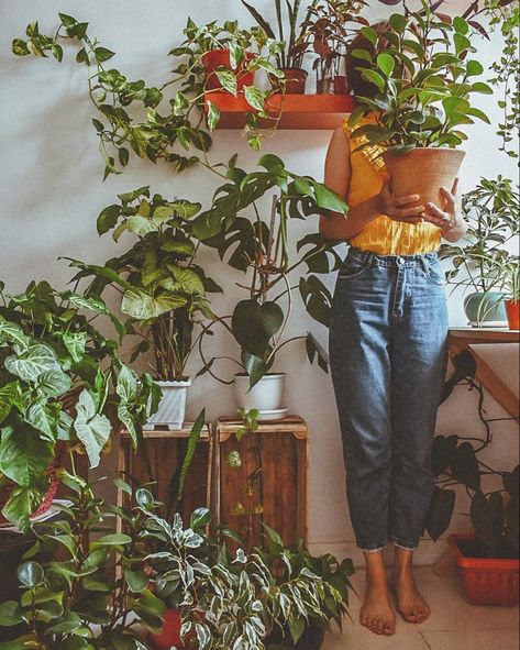 Plant Mom Aesthetic, Plant Photography, Plant Aesthetic, House Plants Decor, With Mom, Plant Mom, Plant Lady, The Plant, Dorm Decorations