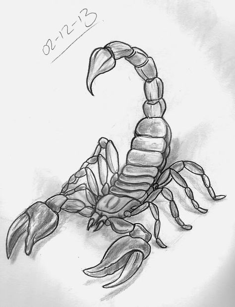 Realistic Scorpion Drawing, How To Draw A Scorpion, Scorpion Drawing Sketches, Scorpion Tattoo Drawing, Insects Sketch, Scorpio Drawing, Scorpion Drawing, Swirl Tattoo, Scorpio Art