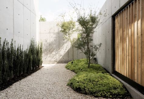 Japandi Garden, Box House, Concrete House, Box Houses, Concrete Design, Interior Garden, Art Architecture, Modern Landscaping, Green Life