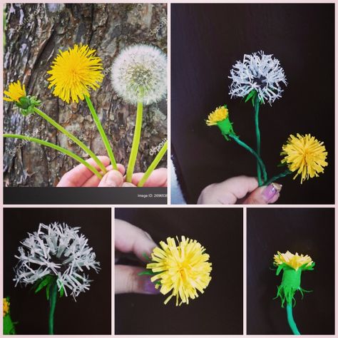 Italian crepe paper dandelions Paper Dandelion, Dandelion Crown, Flower Origami, Crown Diy, Diy Crown, Dandelion Flower, Crepe Paper Flowers, Paper Flower Tutorial, Crepe Paper