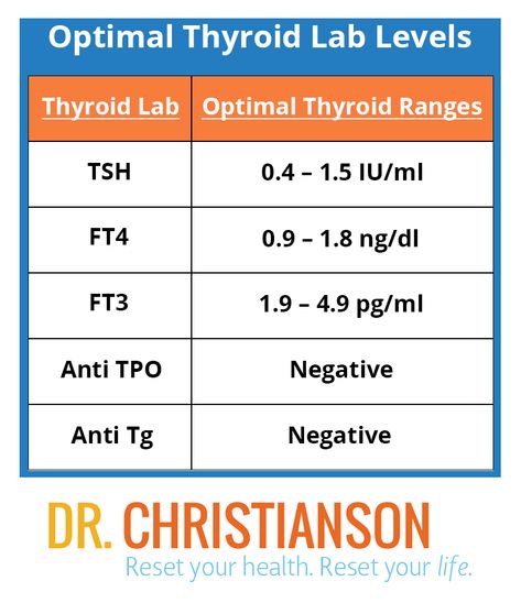 stowing Optimal Thyroid Levels, What Is Thyroid, Thyroid Levels, Overactive Thyroid, Thyroid Test, Thyroid Medication, Graves Disease, Thyroid Hormone, Adrenal Fatigue