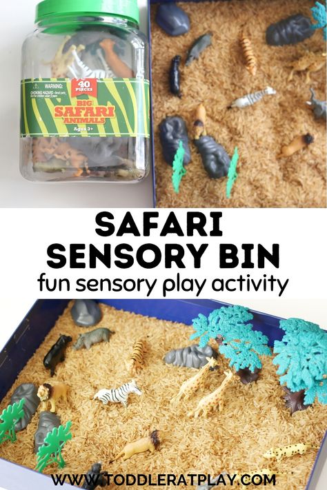 Africa Sensory Bin, Monkey Sensory Bin, Safari Sensory Bin, Zoo Sensory Bin, Sen Resources, 2024 Activities, Preschool Zoo Theme, Morning Baskets, Ell Activities