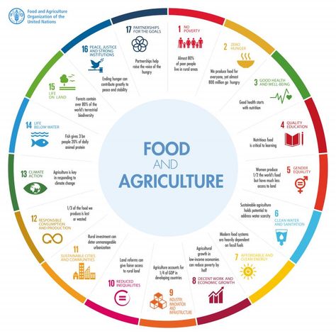 Future of Food: Exploring Challenges to Global Food Systems Global Citizenship, Sustainable Agriculture, Food System, Food Security, Sustainable Development Goals, Animal Protein, Sustainable Food, Global Recipes, Poor People