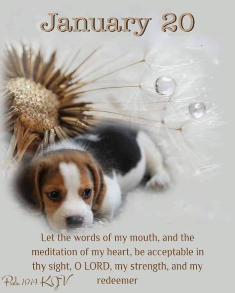 January Quotes, Thursday Blessings, Weekday Quotes, Biblical Womanhood, 20th Quote, Good Morning God Quotes, Morning Blessings, King James Bible, Cute Animals Images