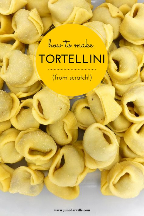 How to make tortellini: a step-by-step picture guide to show you how to fold fresh tortellini! How To Make Cheese Tortellini, How To Make Tortellini Pasta, Homemade Tortalini, Homemade Cheese Tortellini Recipes, Homemade Tortalini Recipes, Homemade Cheese Tortellini, Tortellini Filling Recipe, Homemade Tortellini, How To Make Tortellini