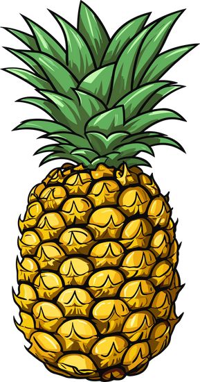 Pineapple Fruit Illustration Pineapple Cartoon, Pineapple Clipart, Pineapple Drawing, Pineapple Illustration, Pineapple Guava, Fruit Clipart, Learning Books, Fruits Drawing, Food Clipart