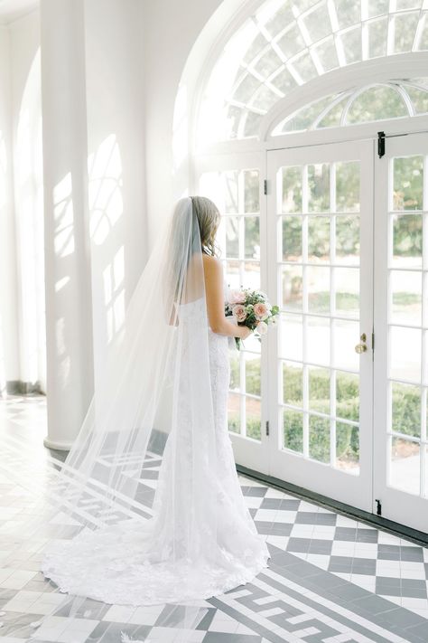 Wedding Venues South Carolina, Lowndes Grove Wedding, Baby Blue Weddings, Charleston Weddings, Husband And Wife Wedding, Key West Wedding, Wedding Dress Boutiques, South Carolina Wedding, Charleston Wedding Photographer