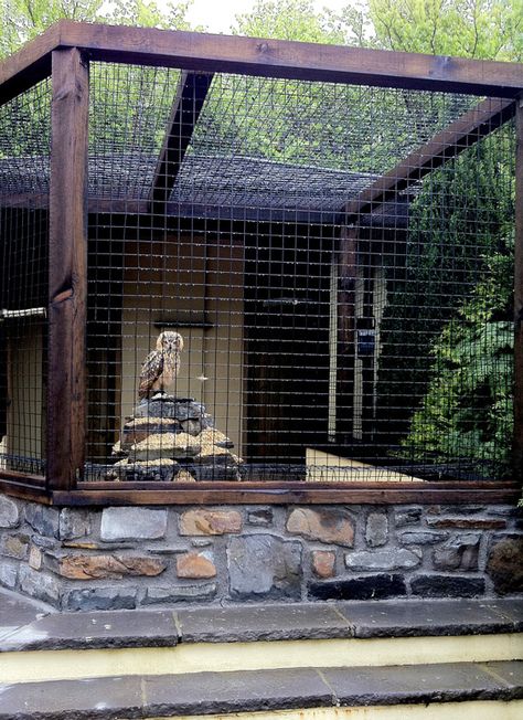 Owl Enclosure, Owl Aviary, Pet Bird Cage, Wildlife Rehabilitation, Bird House Kits, Bird Aviary, Parrot Toys, Bird Cages, Pet Bird