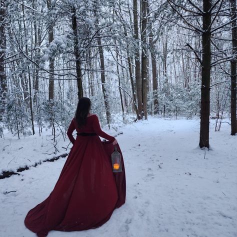 Snow Red Maven My friend Kris, braved the 10° temps after the most beautiful snowfall, to trudge through 2ft of snow to help me capture these images I dreamed up I found the dress, which was a maternity dress, on Marketplace for $20 and belted it with velvet. Silver Snow Dress, Dress Snow Photoshoot, Snow Princess Photoshoot, Snow Bride Photo Shoot, Red Dress In Snow Photography, Running Dress, Snow Dress, Graduation Pics, Winter Photo