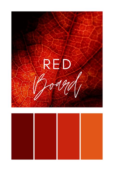 Veined Elegance: A detailed close-up of a red leaf, showcasing the intricate veins and deep red tones, perfect for a rich and organic red color palette. Cardinal Color Palette, Color Palette With Red, Shades Of Red Color, Hot Color Palette, Red Color Palette, Color Generator, Flip Image, Blur Image, Red Colour Palette