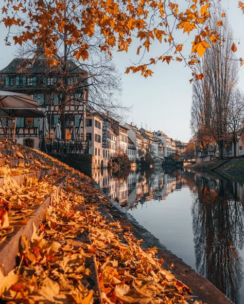 Alpine Village, Strasbourg France, Instagram Autumn, Autumn Scenery, Forest Photography, Fall Travel, Autumn Forest, Favorite Season, Autumn Colors