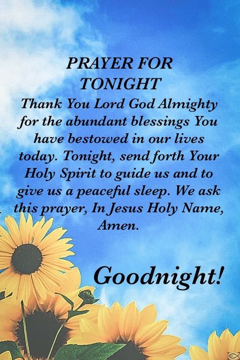 Good Evening Prayers, Night Time Prayers, Prayer For Tonight, Prayer Before Sleep, Nighttime Prayer, Goodnight Quotes Inspirational, Good Night Prayers, Evening Prayers, Good Night Prayer Quotes