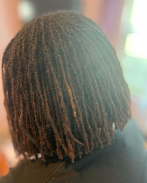 Client said she wanted her locs cut into a bob..so that’s what I gave her. I can’t wait to see when she adds curls. 👀👀👀 🦋🦋🦋 #sisterlocks #microlocks #locs #boblocs Sisterlock Bob, A Bob, Sisterlocks, 4 Life, Locs, I Can, Hairstyles, Quick Saves