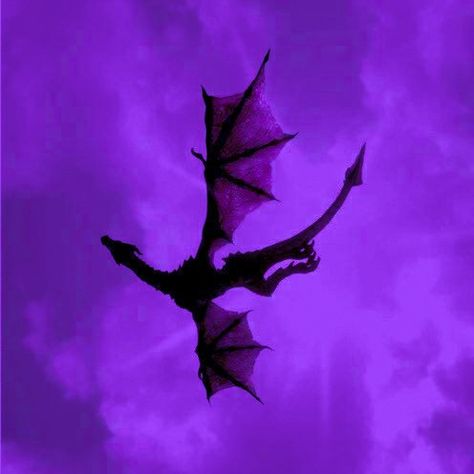 Dragon, purple aesthetic Dark Purple Esthetics, Amethyst Aesthetic Color, Villain Aesthetic Purple, Violetcore Aesthetic, Creepy Purple Aesthetic, Purple Fire Aesthetic, Purple Angel Aesthetic, Purple Demon Aesthetic, Purple Character Aesthetic